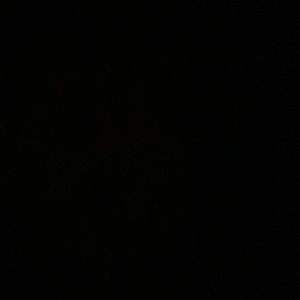 Meet your Posher, Melvin